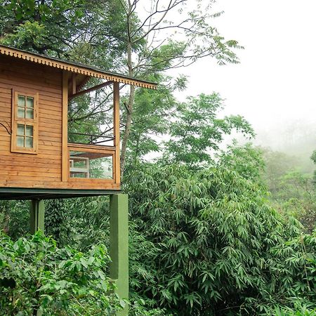 Misty Mountain Experience Hotel Pirmed Exterior photo