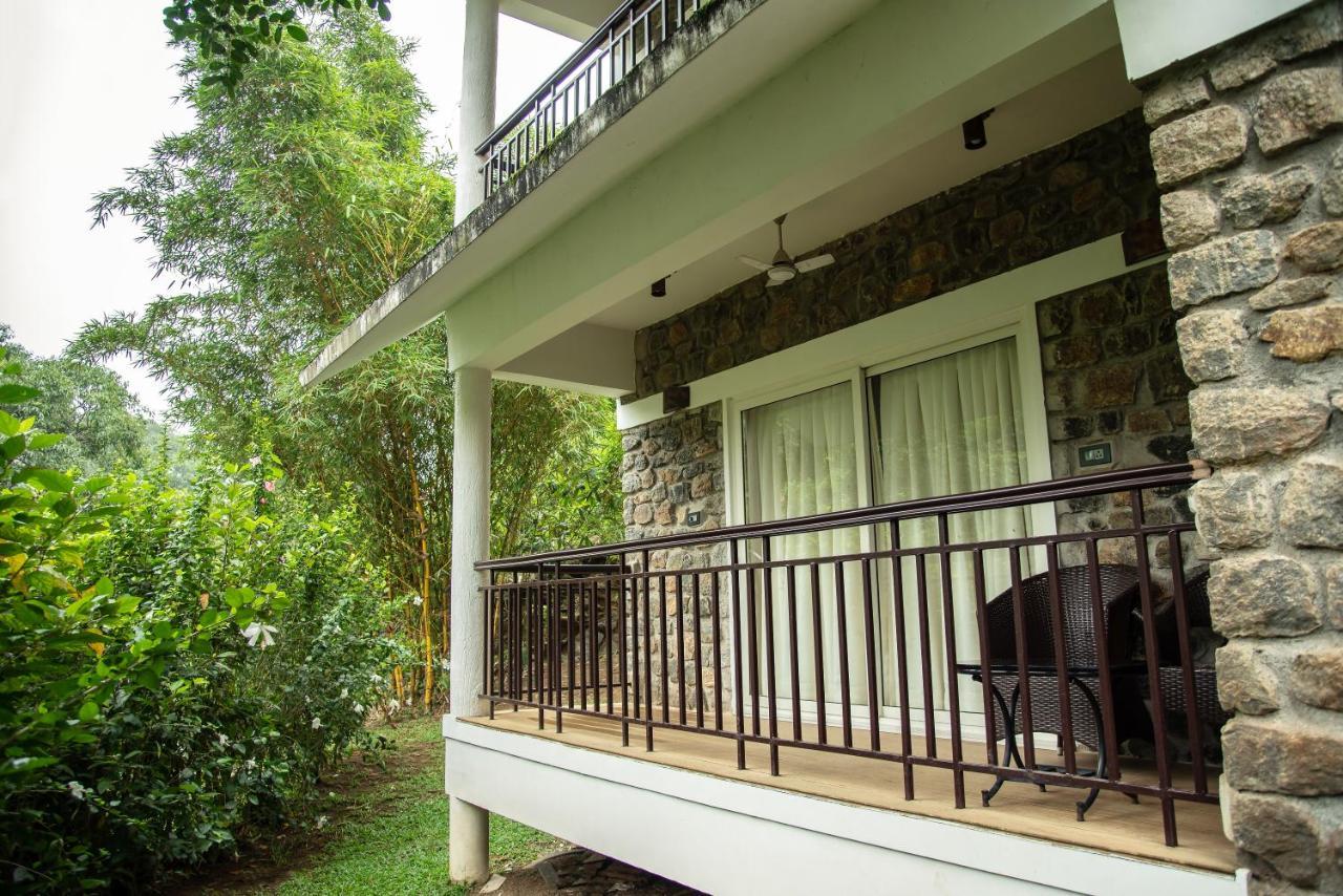 Misty Mountain Experience Hotel Pirmed Exterior photo