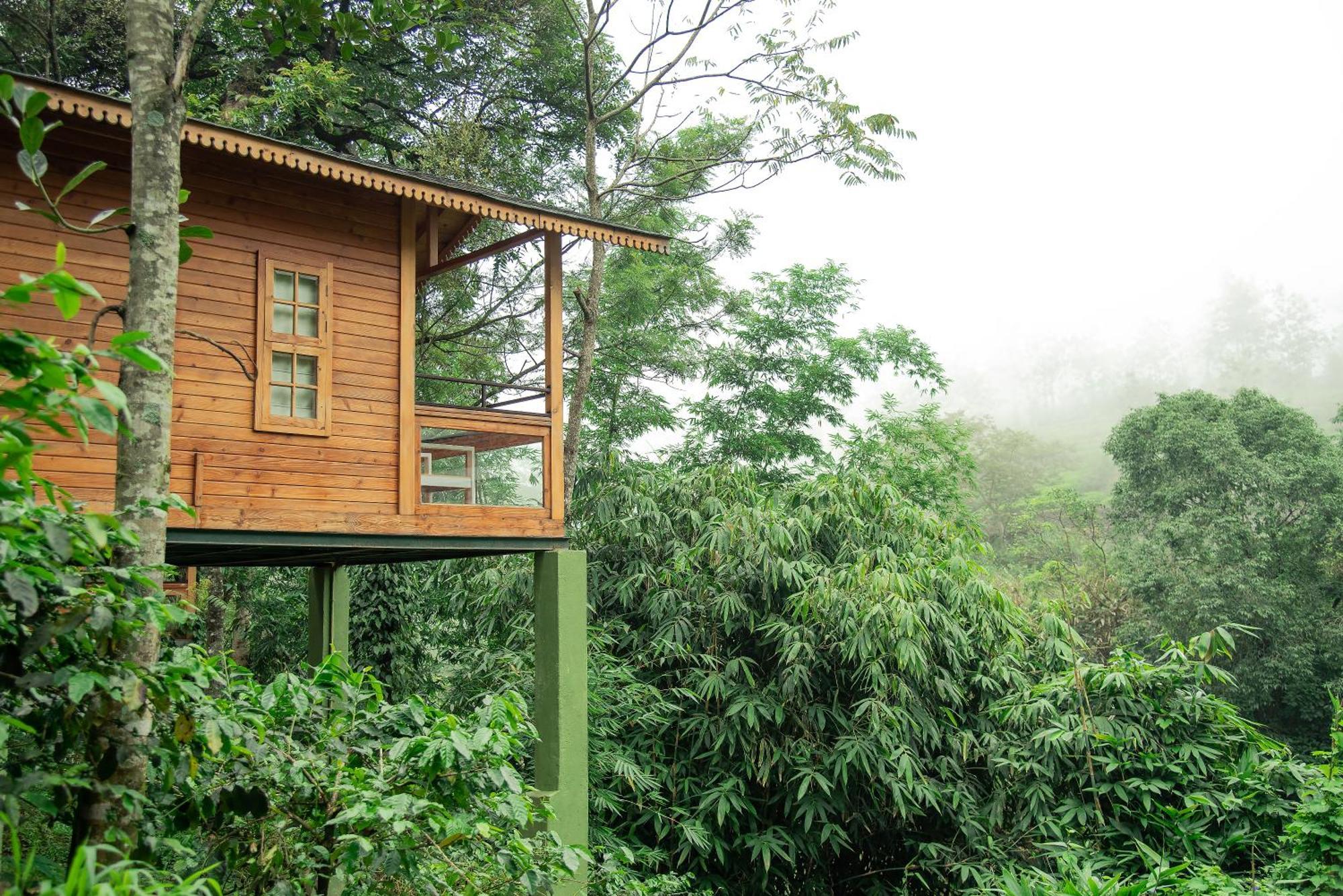 Misty Mountain Experience Hotel Pirmed Exterior photo
