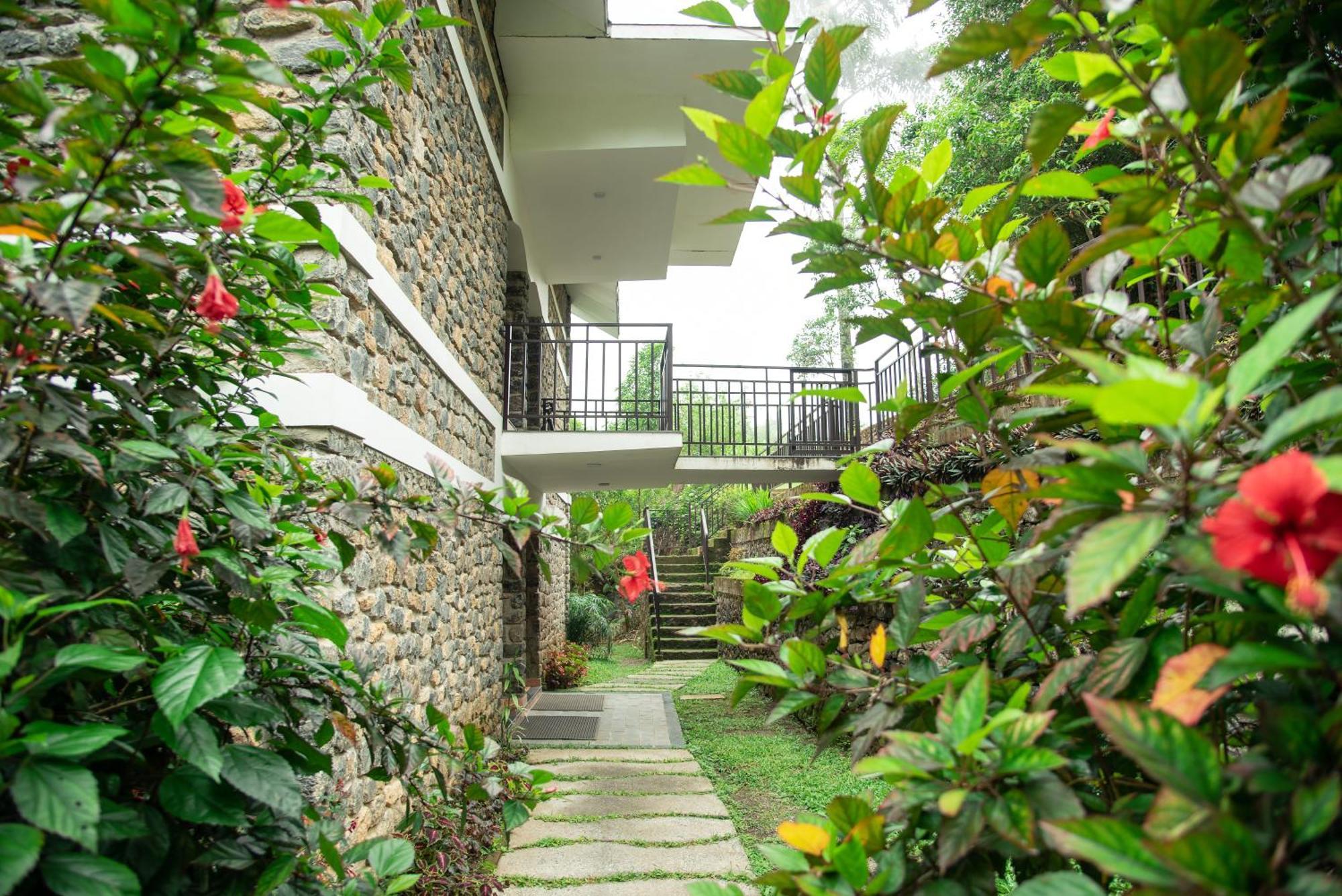 Misty Mountain Experience Hotel Pirmed Exterior photo